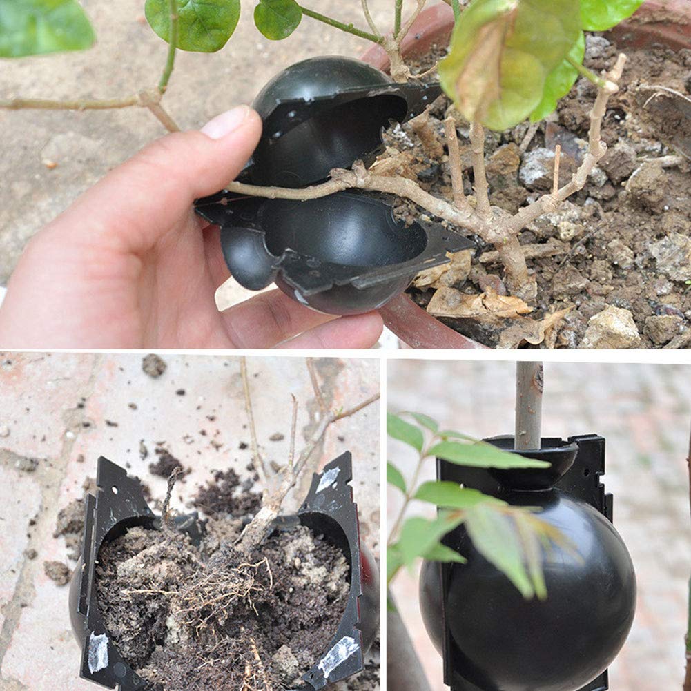 BestTas 3PCS Plant Rooting Device - Image 4