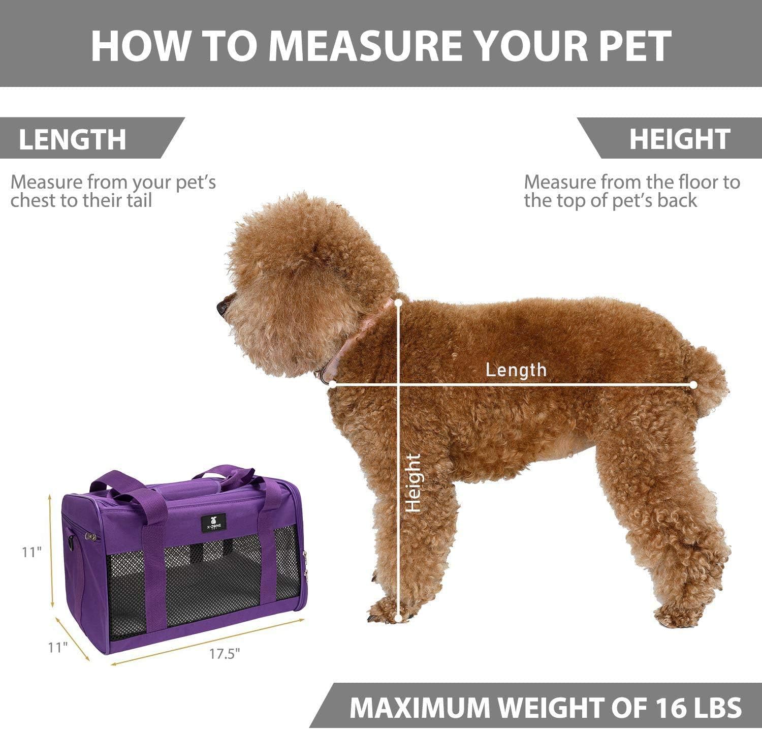 X-ZONE PET Airline Approved Soft-Sided Pet Travel Carrier for Dogs and Cats, Medium Cats Small Cats Carrier, Dog Carrier for Small Dogs, Portable Pet Travel Carrier, Black : Pet Supplies