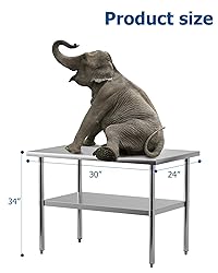 EcoExplorer Heavy Duty Stainless Steel Table for
