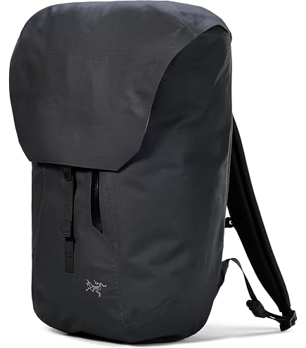 Amazon.com: Arc'teryx Aerios 45 Backpack Men's | Light Durable