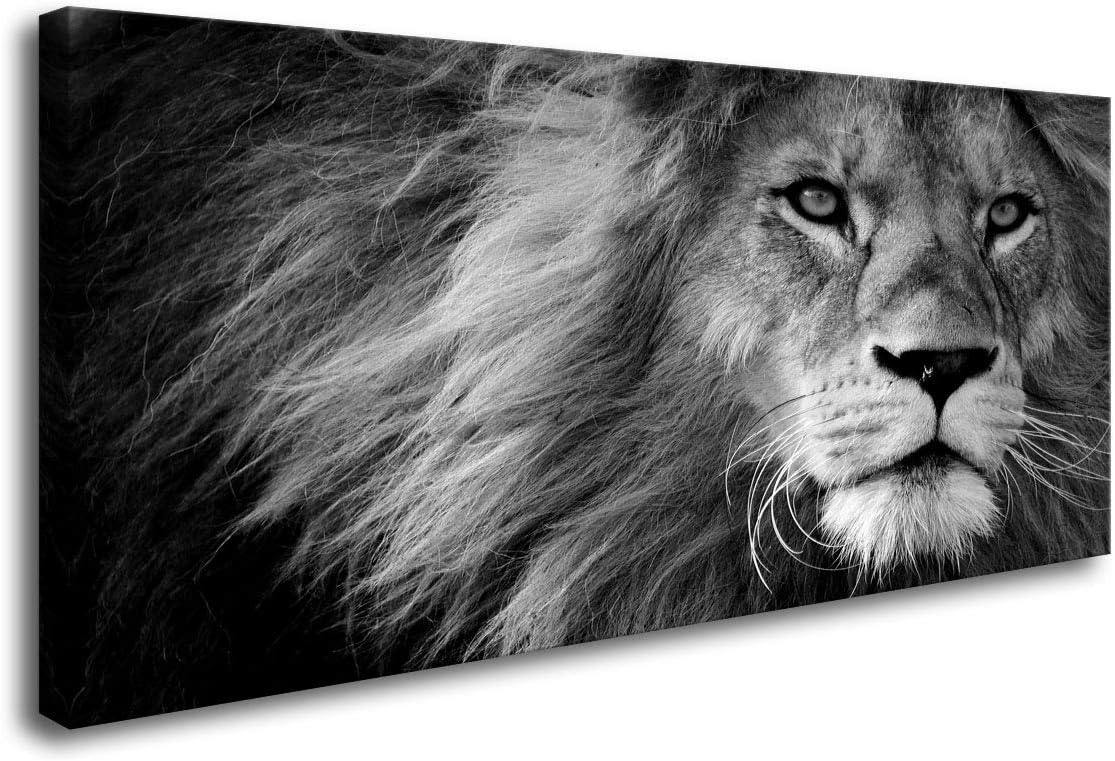 Baisuart Animal Large Canvas Print Wall Art Grey Lion Framed and Stretched Ready to Hang Pictures for Living Room Bedroom Home Office Wall Decor Artwork Black and White