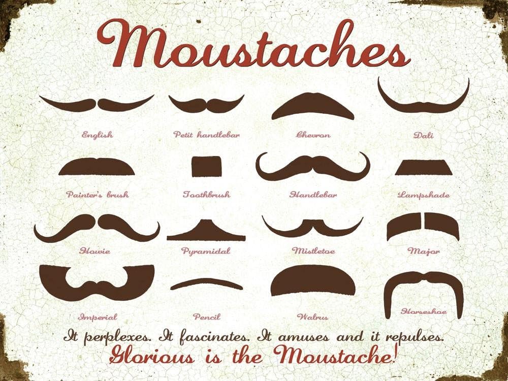 Amazon Com English Moustaches Different Types Of Hipster Mustaches Office Products