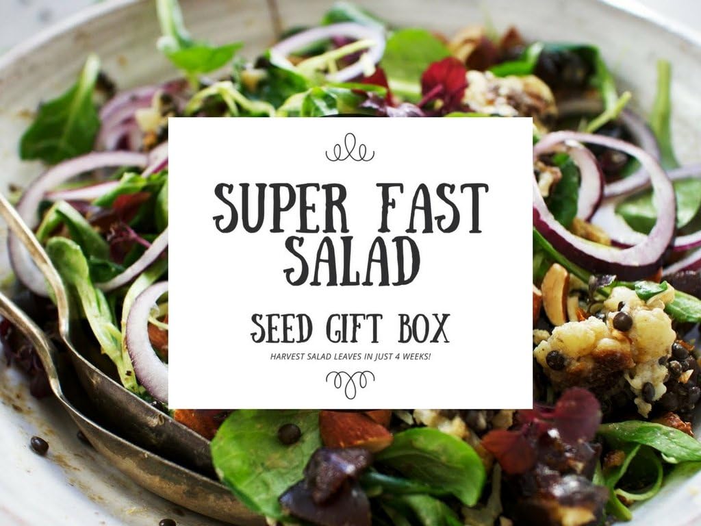 SALAD SEED COLLECTION! - Super Fast Gourmet Salad Seed Gift Box - 7 Varieties of Unusual Salad Leaves - Fast Growing, Hand Picked Collection - Perfect to Plant Now for UK Salad Growing - Colourful Wild Rocket, Mustard, Kale and Oriental Leaves for Tasty Vibrant Salad All Year Round!