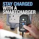 Ring SMARTCHARGE 1A Car Charger & Maintainer with Crocodile Clips view 8