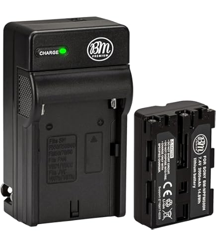 sony α77ii + SAL18135 + バッテリー Amazon.com : BM Premium NP-FM500H Battery for Sony Alpha a77II
