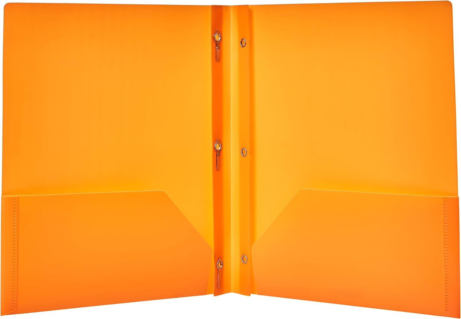 Basics Heavy Duty Plastic Folders with 2 Pockets for Letter Size Paper, Pack of 12 : Office Products