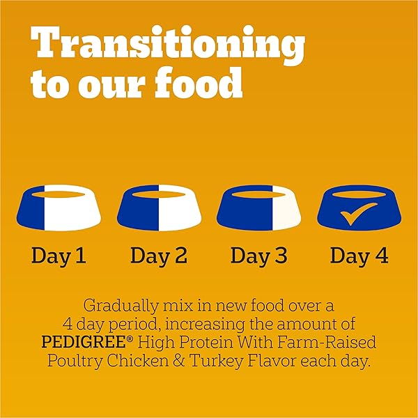PEDIGREE DRY DOG FOOD FOR ADULT DOGS, HIGH PROTEIN, TURKEY AND CHICKEN FLAVOR, 3.5 LB. BAG