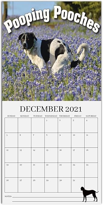 A/B Dog/Cat Pooping Pooches 2021 Wall Calendar, Pooping Dogs Calendar A/B Dog/Cat Pooping Pooches 2021 Wall Calendar, Pooping Dogs Calendar
