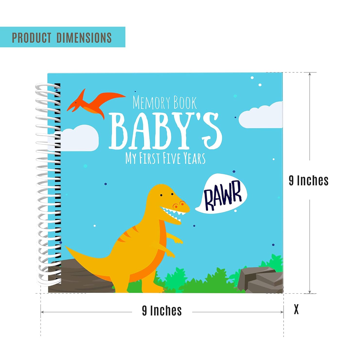 dinosaur baby book