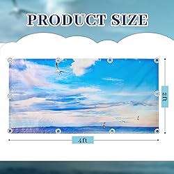 Patelai 4 x 2 Feet Fluorescent Light Cover for