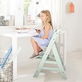 hauck Alpha+ Wooden High Chair Beechwood, 6 Months to Adult, 5-Point Harness view 2