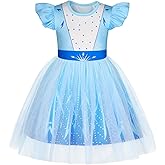 HenzWorld Princess Dress up for Girls Birthday Party Outfits Halloween Costumes for Kids Princess Costumes Tulle Tutu Dress