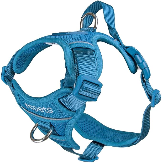RC Pet Products Momentum Dog Harness, Medium, Dark Teal Pet Supplies