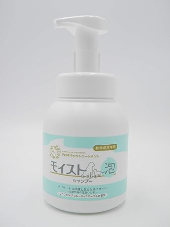 Amazon 共立製薬 モイスト 泡シャンプー 500ml 共立製薬 シャンプー 通販