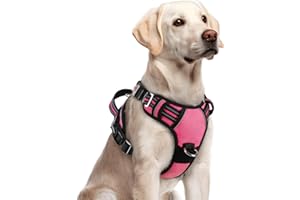 rabbitgoo Dog Harness for Large Dogs, No Pull Pet Vest with 3 Buckles, Adjustable Soft Padded Pet Harness with Easy Control Handle and Reflective Strips, Pink, L