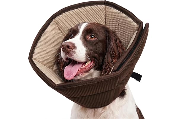 Dog Cone for Large Dogs After Surgery, Soft Dog Cone Collar for Dogs to Stop Licking, Adjustable Comfy E-Collar Alternative L