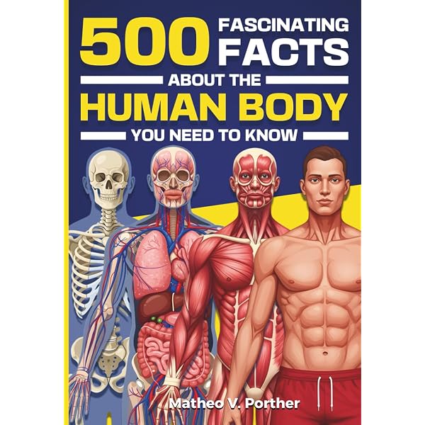 50 Interesting Facts About The Human Body