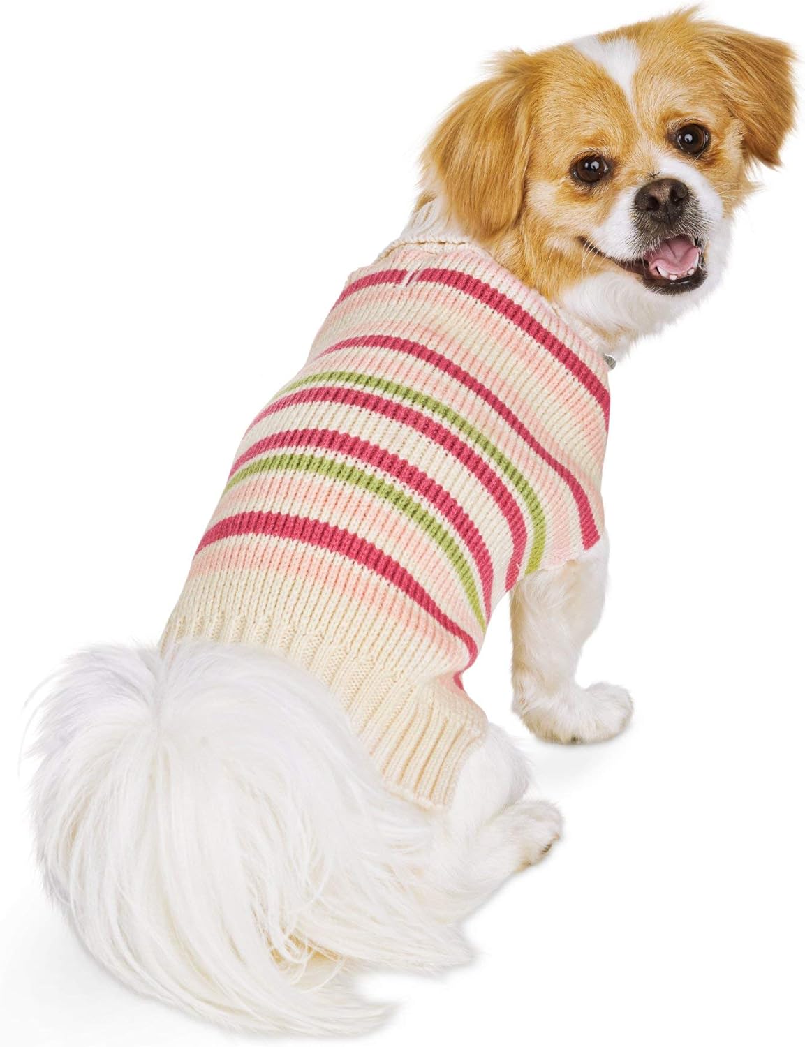 bond & co dog jacket