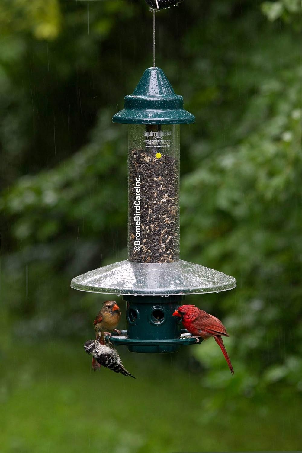 Squirrel Buster Weather Guard For The Squirrel Buster Plus Bird