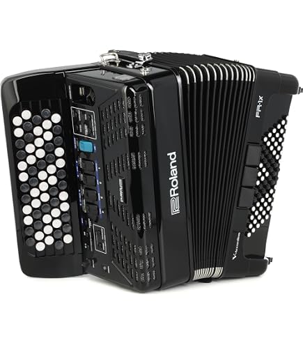 Roland アコーディオン　ケース Amazon.com: Roland Gig Bag for FR-1 Series Accordions (BAG-FR-1