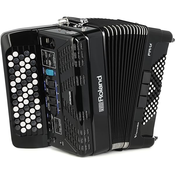 Amazon.com: Roland Gig Bag for FR-1 Series Accordions (BAG-FR-1
