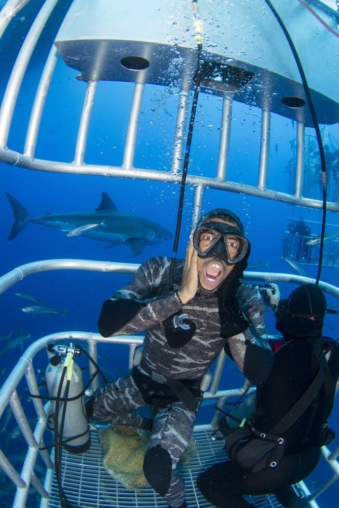 Posterazzi Male white behind frightened diver inside shark cage Guadalupe Island Mexico Poster Print, (11 x 17)
