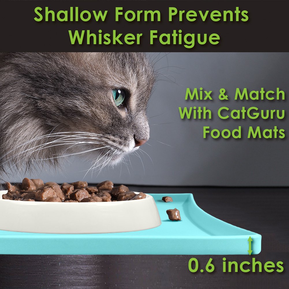 NEW! CatGuru Premium Cat Bowl, Cat Food Bowl for Relief of Whisker