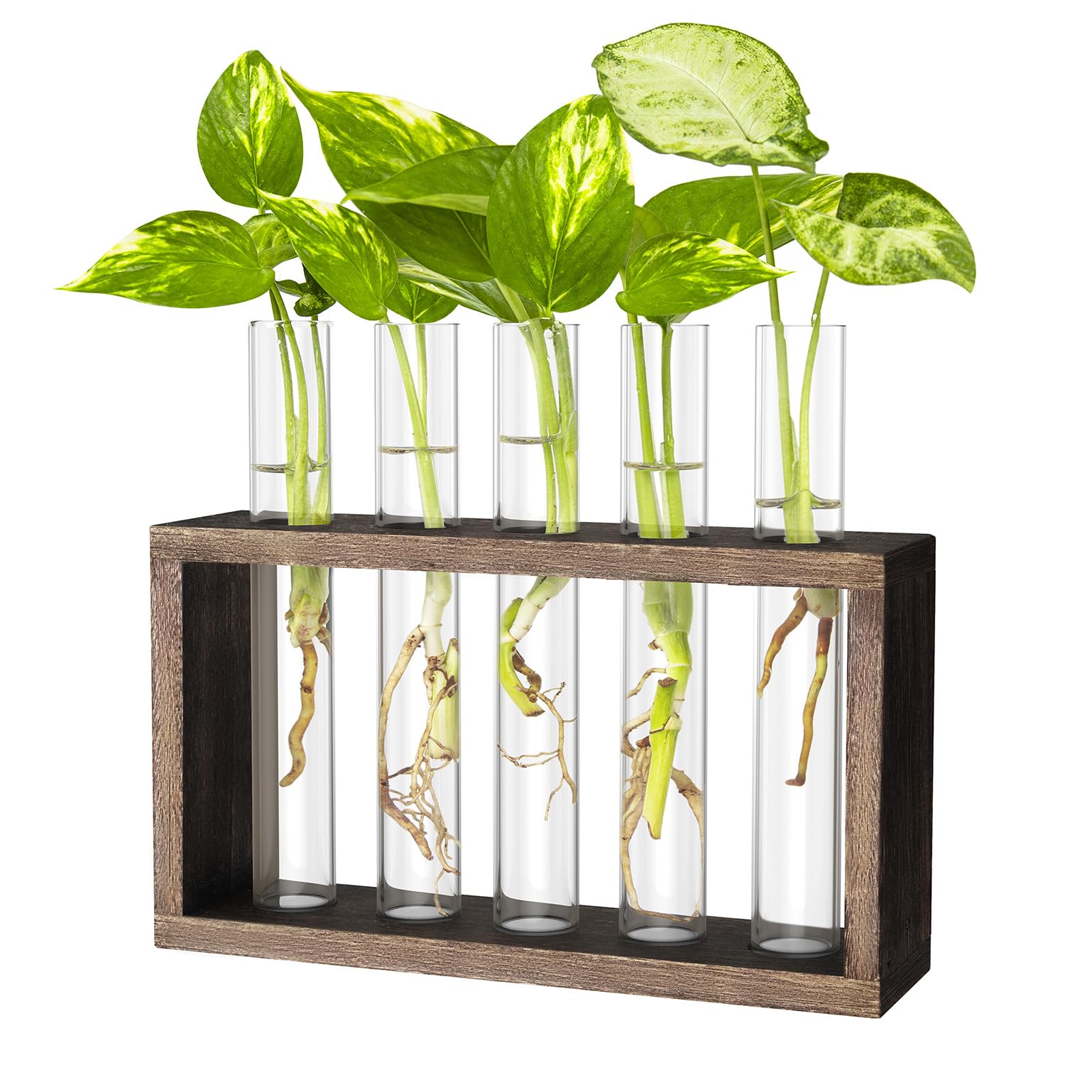 Ivolador Wall Mounted Hanging Plants Test Tube Flower Bud Tabletop Glass Terrarium Wooden Stand with 5 Test Tube Perfect for Propagating Hydroponic Plants Home Garden Wedding Decoration