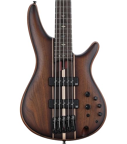 ベース s.r Amazon.com: Ibanez SR Standard 4-string Electric Bass - Black Ice