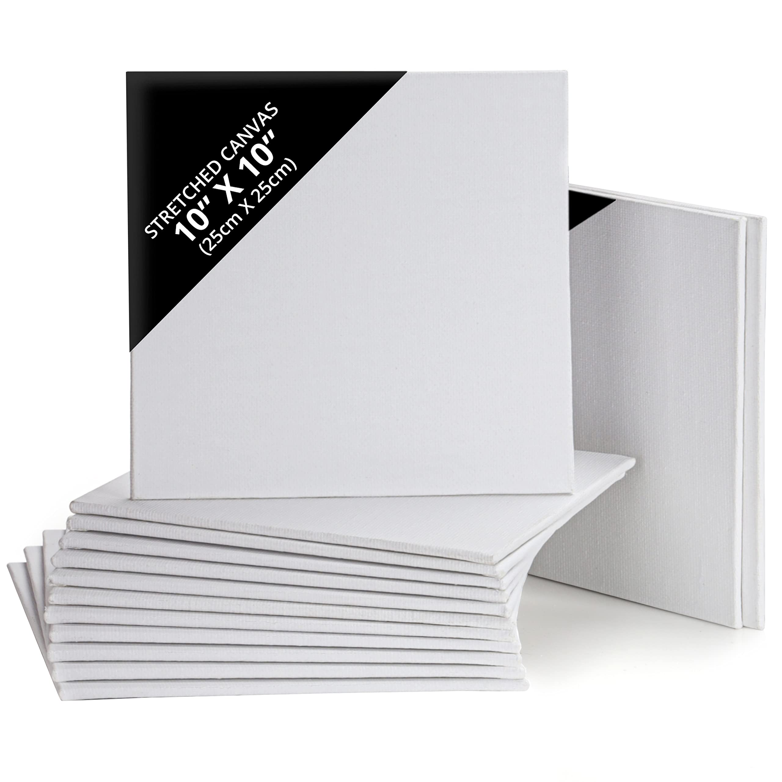 Belle Vous 14 Pack Canvases - Primed Canvas for Painting 25 x 25cm (10 x 10 inches) - Blank Square Canvas Panel - Artist Canvas Board - White Cotton Canvas Suitable for Acrylic Oil Painting Sketching