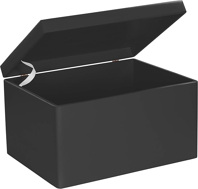 LAUBLUST Große Holzkiste mit Deckel - 40x30x24cm, Schwarz, FSC