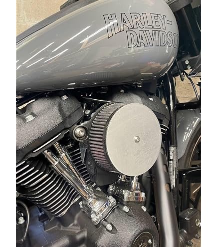 Amazon.com: Kuryakyn 9439 Alley Cat Air Cleaner/Filter Cover for