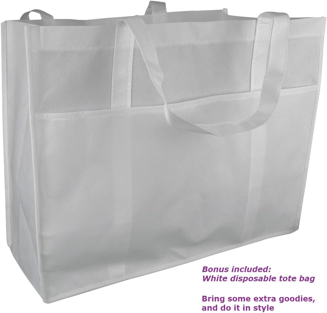 white insulated picnic tote bag