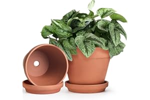 INGOFIN Terracotta Pots Set with Saucer - 2-Pack Ceramic Clay Planters with Drainage Hole, Garden Flower Succulent Pots with Tray for Indoor Outdoor Plants, 8 inch, Set of 2