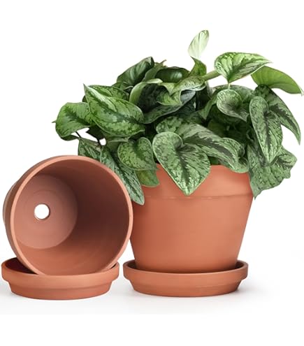 Vaso per piante e fiori Alto Vulcano in terracotta terracotta H 35 cm