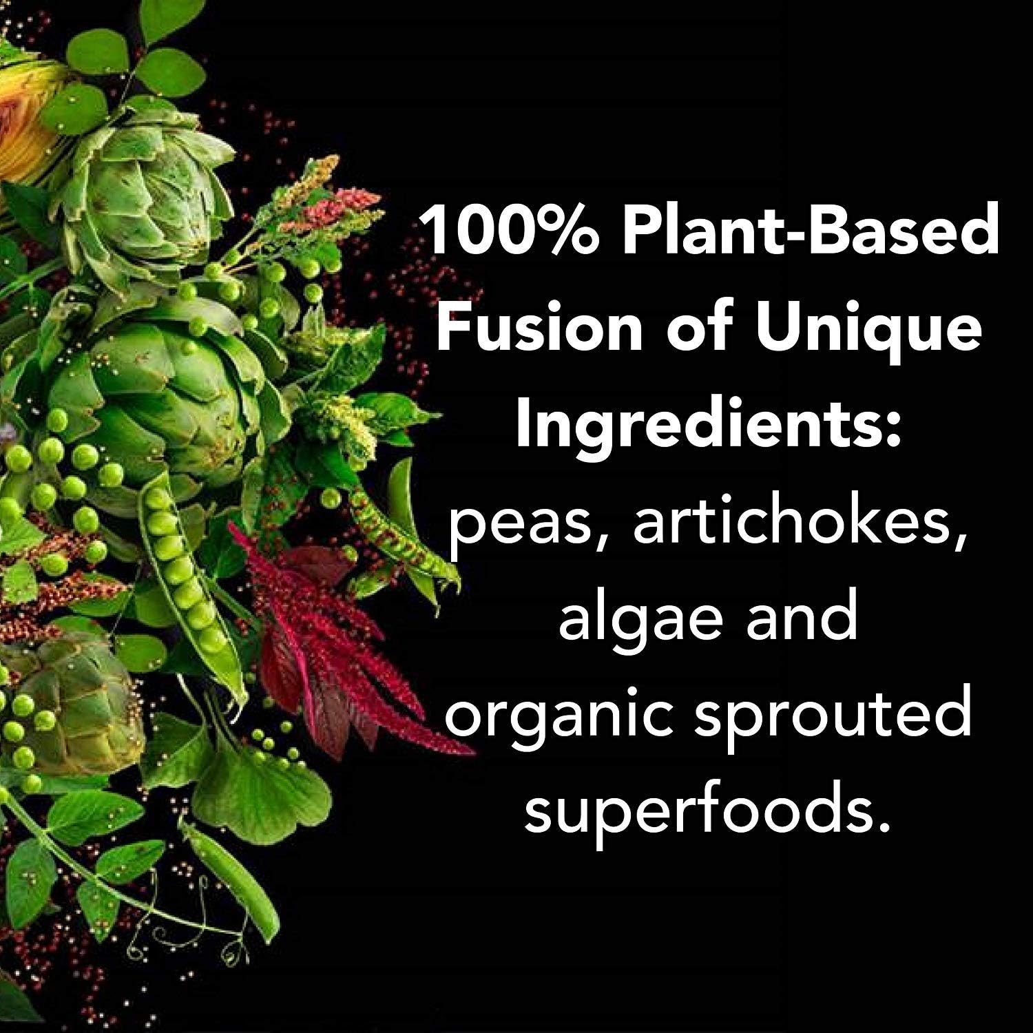 PlantFusion Complete Plant Based Pea Protein Powder, Non-GMO, Vegan, Dairy Free, Gluten Free, Soy Free, Allergy Free w/Digestive Enzymes, Dietary Supplement, Vanilla Bean (30 Servings) 2 Pound: Health & Personal Care