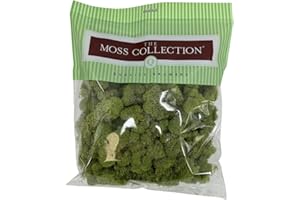 Quality Growers - Preserved Reindeer Moss - Moss for Crafts, Home Decor, Art, Design & DIY Projects - Non-Toxic - USA Made (Spring Green, Medium)