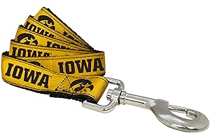 ALL STAR DOGS NCAA Iowa Hawkeyes Dog Leash (Team Color, Large)