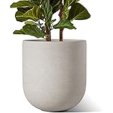 LE TAUCI 12 Inch Pots for Plants, Ceramic Large Planters for Indoor Plants, Indoor Plant Pots for Home Garden Patio Office, Planter Pots with Drainage Hole and Rubber Plug, Neutral Gray
