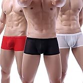 Evankin Men's Underwear Sexy Mesh Breathable Boxer Briefs Low Rise Cool Valentines Boxers Pack Set