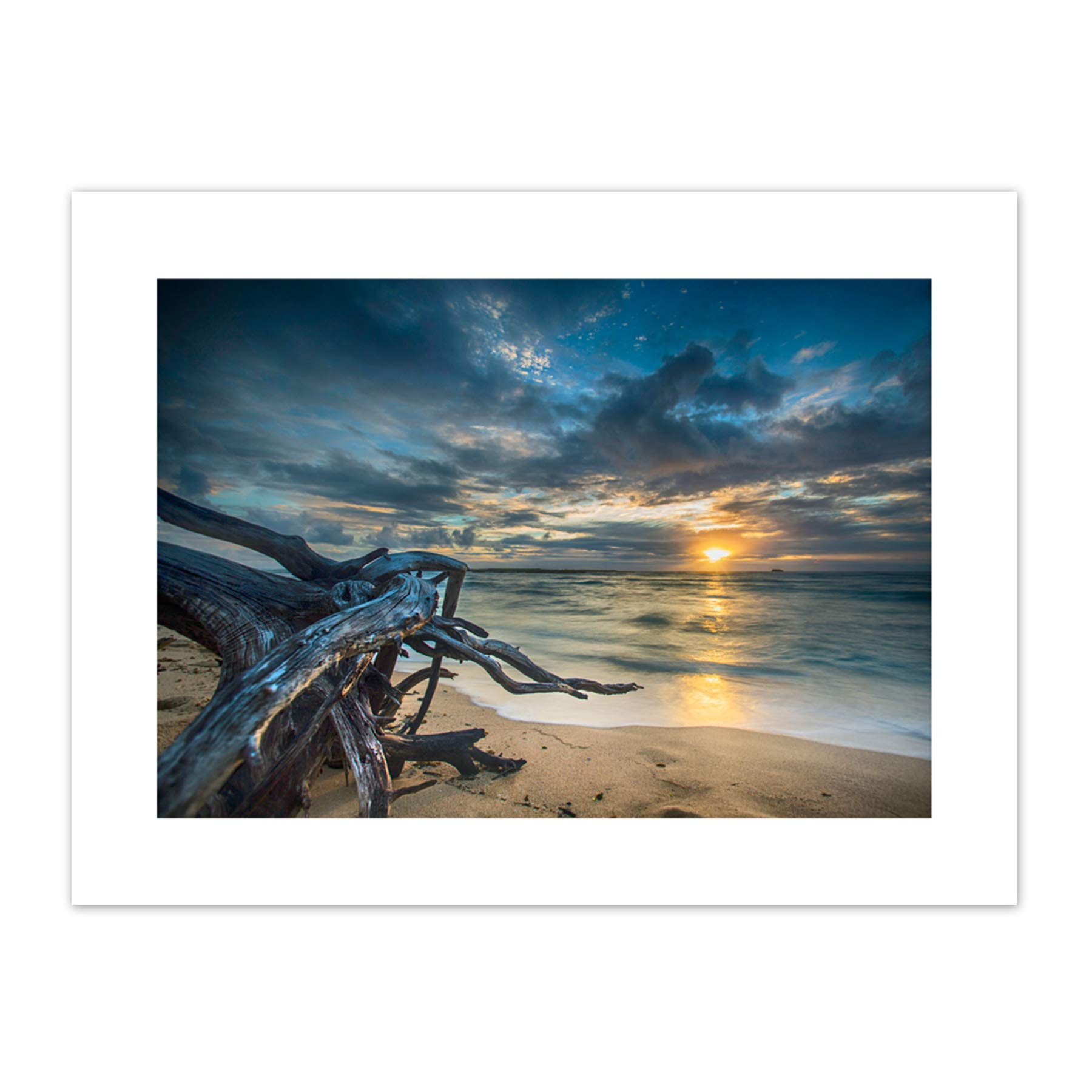 Driftwood Beach Sunset Ocean Canvas Wall Art Print