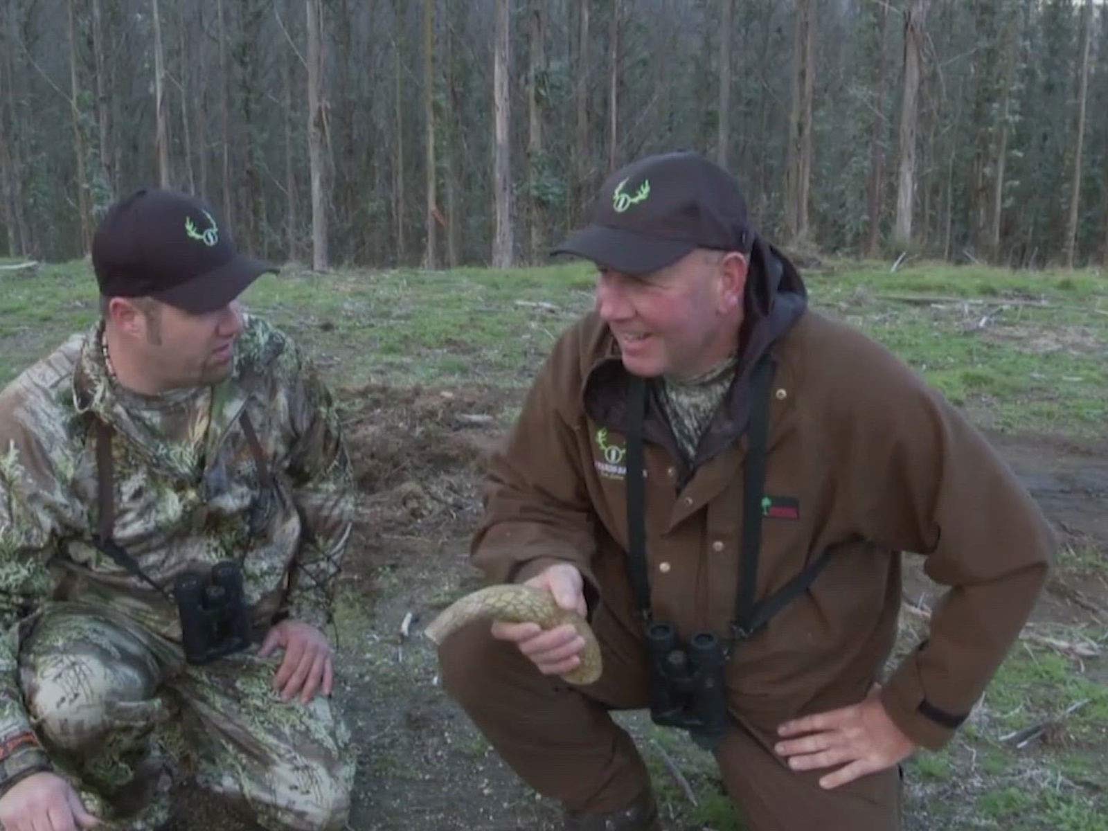 Watch Pigman The Series Season 2 Prime Video