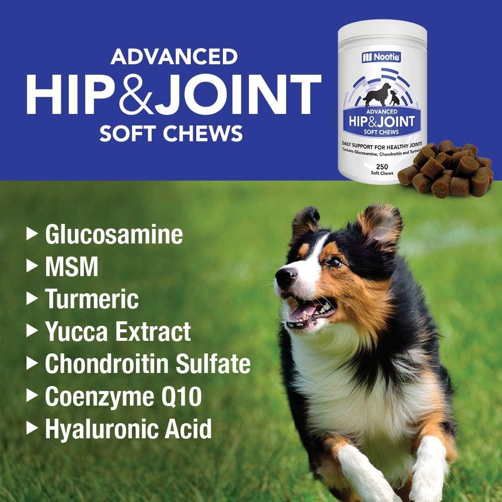 Naturvet Glucosamine Ds Plus Level 2 Moderate Care Supports Healthy Hip Joint Function Enhanced With Glucosamine Msm Chondroitin For Dogs Cats 60 Chewable Tablets Pet Supplements Natural Supplements Pet Care