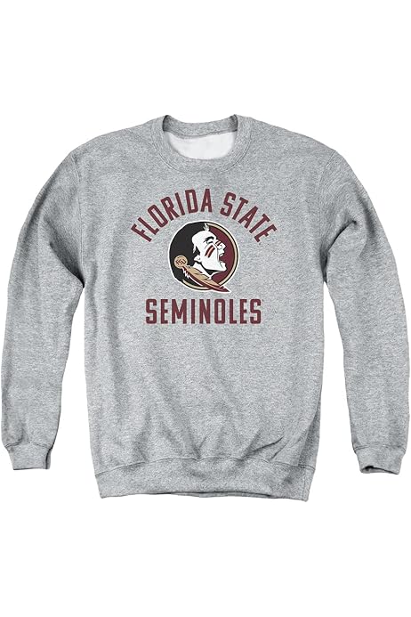 FSU Seminoles Florida State University 