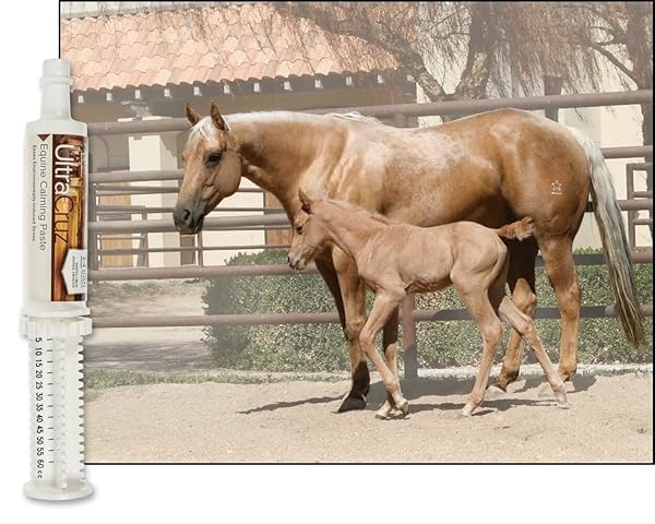 ULTRACRUZ® EQUINE CALMING PASTE, 60 ML