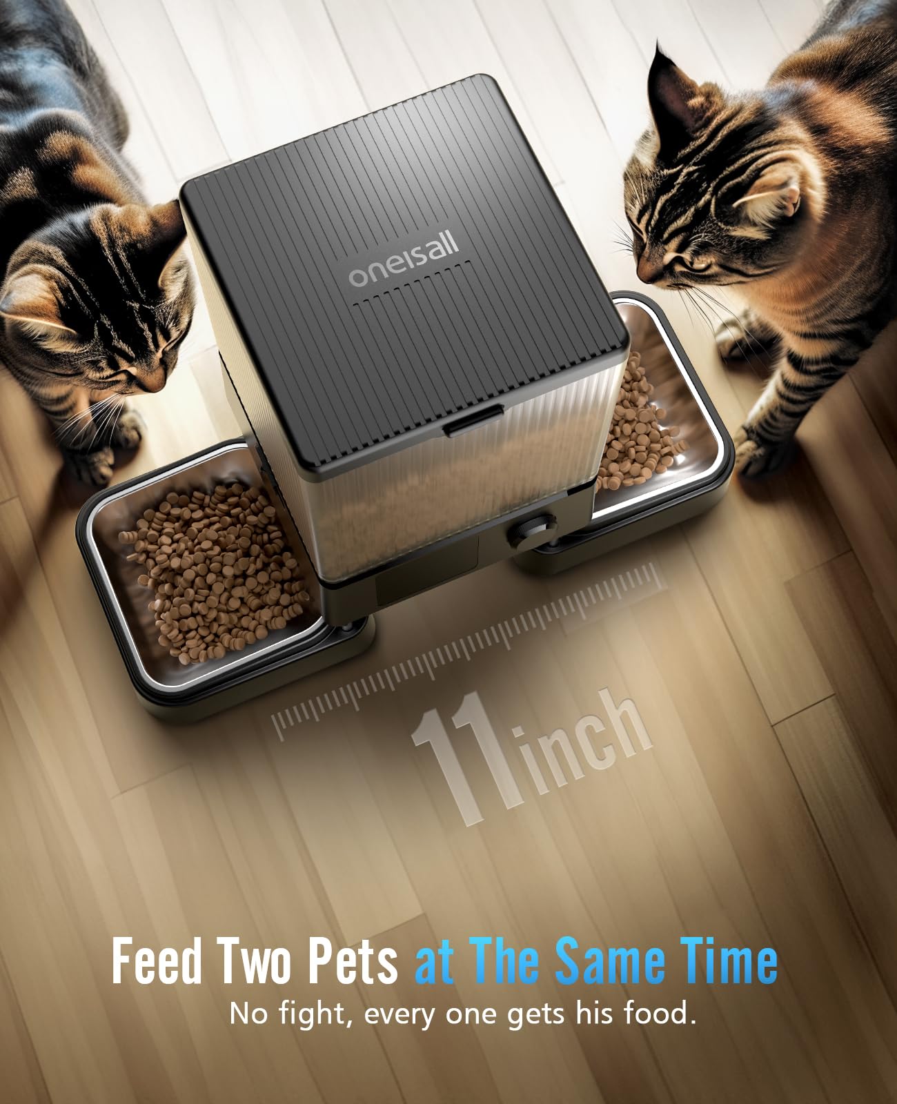 Automatic Cat Feeder