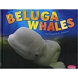 Beluga Whales (Sea Life)