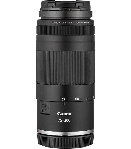 Amazon.com : Canon Ef 75-300mm F/4-5.6 III Telephoto Zoom Lens for