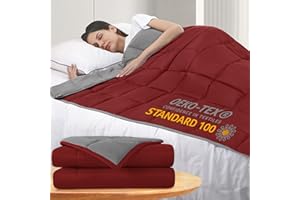 ROKDUK Weighted Blanket Twin 15 Pounds 48x72 in Cooling Weighted Blanket Throw Size for Adults 1800 Brushed Microfiber Reversible Heavy Blanket with Premium Glass Beads (Dark Grey & Wine Red)