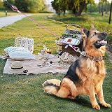Mi Metty 24in Chew Proof Dog Leash Extension Rope for Any Leash & Collar view 4